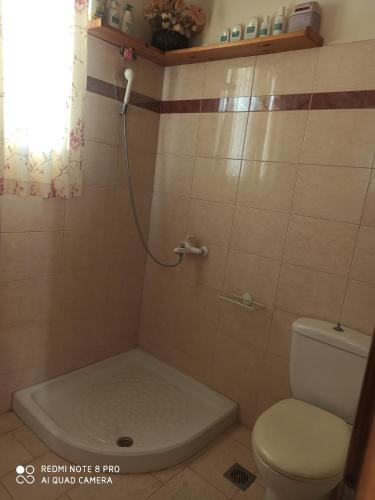een kleine badkamer met toilet en douche bij Holiday House Rizomylos 