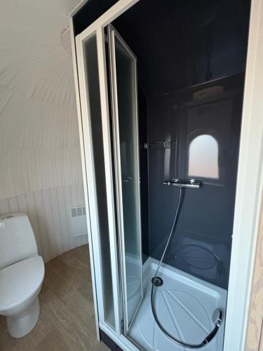 a glass shower in a bathroom with a toilet at Seeperle Weißenstadt Haus Kornberg in Weißenstadt