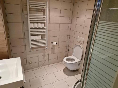 a bathroom with a toilet and a glass shower at Apart studio3 in Kortenberg