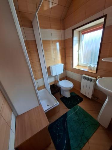 a small bathroom with a toilet and a sink at Atticapartament in Kluszkowce