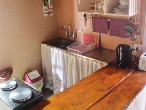 een keuken met een wastafel en een houten aanrecht bij Eingedi Retreat in Kommissiepoort
