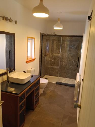 a bathroom with a sink and a toilet and a shower at La Casita in Lugo
