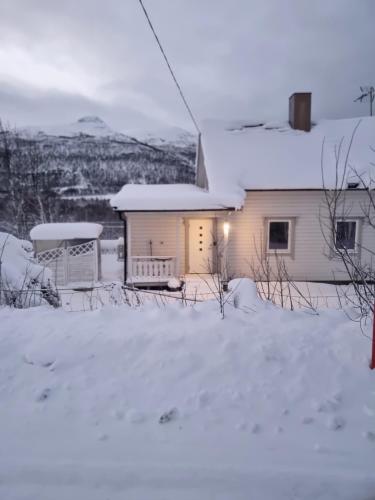 een huis in de sneeuw met een licht aan bij Room in Cozy Cottage 