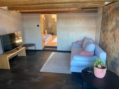 ein Wohnzimmer mit einer blauen Couch und einem Fernseher in der Unterkunft Charmante Fachwerkhaushälfte mit Sauna in Rosche