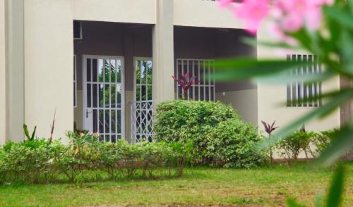 studio confort Green home