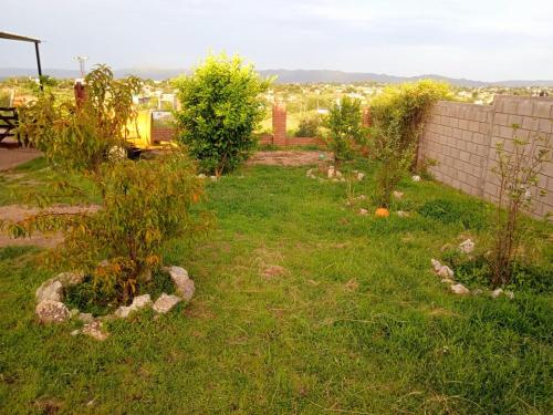 een tuin met wat planten in het gras bij Brisas de las Sierras in Tanti