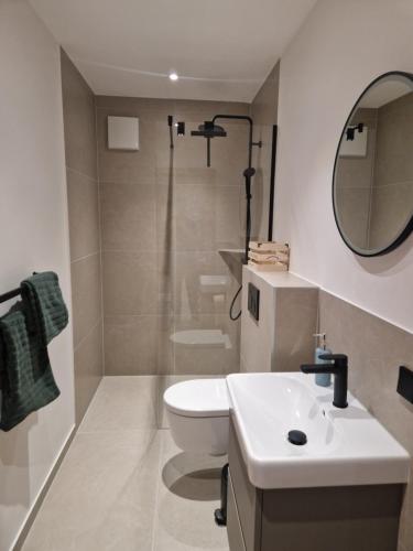 a bathroom with a sink and a toilet and a mirror at Haus Robi Wood in Bad Kleinkirchheim