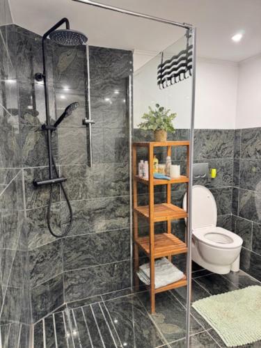 a bathroom with a shower and a toilet at La Grotta in Hinkel