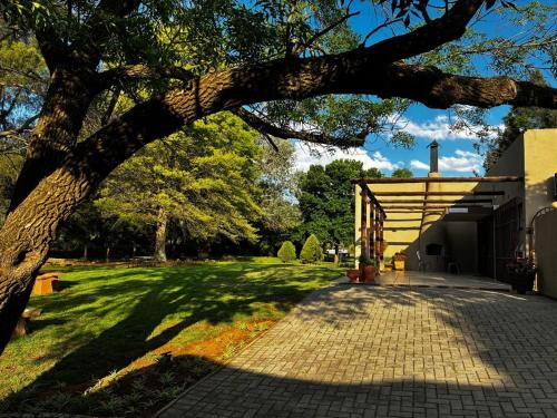 a tree leaning over a brick sidewalk next to a building at Pecan Grove in Frankfort