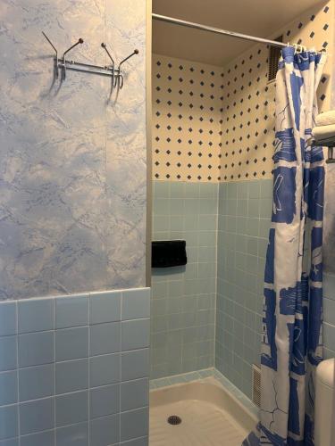a bathroom with a shower with a blue and white at Hotel le France, Redon in Redon