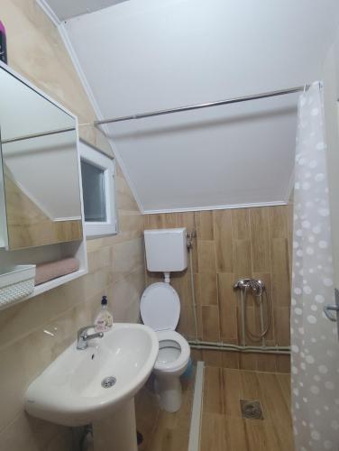 a bathroom with a toilet and a sink and a shower at Holiday home BOŽUR in Kolašin