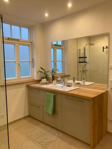une salle de bains avec un lavabo et un miroir dans l'établissement Altstadt Apartment, à Pattensen