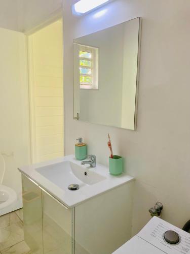 a white bathroom with a sink and a mirror at BRADA gites in Deshaies