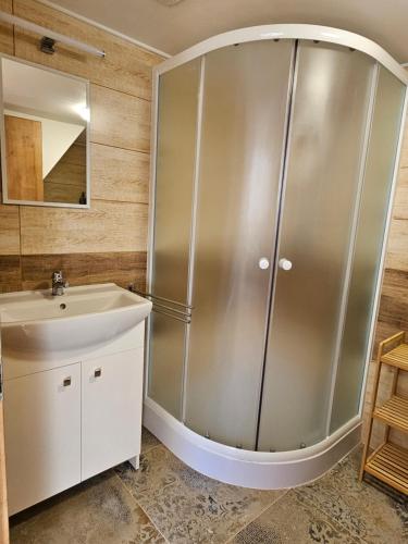 a bathroom with a shower and a sink at Apartmány Krásné zátiší in Krásno