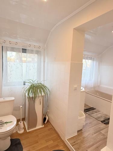 a bathroom with a toilet and a plant in it at Fichtenblick in Selb