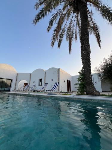 a swimming pool with chairs and a palm tree at Maison Ile d'Olive in Midoun