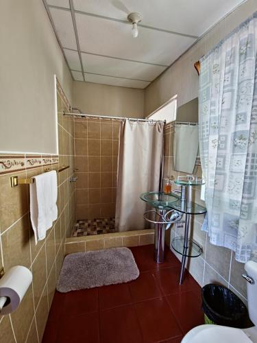 een badkamer met een douche, toilet en wastafel bij Casa de Alondras in Panajachel