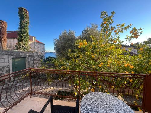 Paisagem natural perto do apartamento