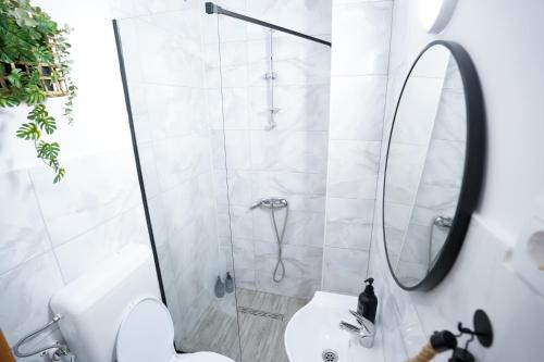 a bathroom with a shower and a toilet and a sink at Apartament la munte in Topliţa