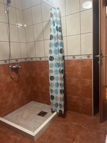 Et badeværelse på Apartments Lazarević