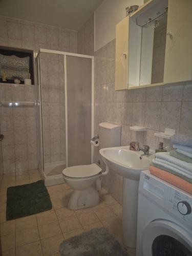 a bathroom with a toilet and a sink and a washing machine at Apartment Sara in Pomer