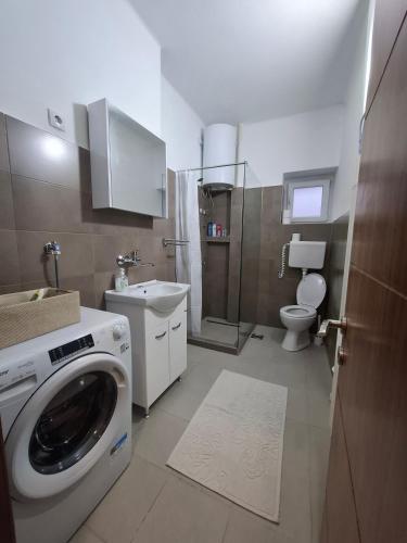 a bathroom with a washing machine and a toilet at Paviljoni apartman in Tošin Bunar