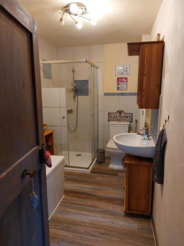 a bathroom with a shower and a sink and a toilet at Ferienwohnung Harald in Gotha