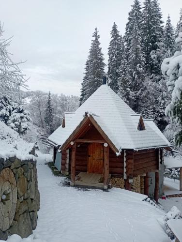 een blokhut met sneeuw op het dak bij Корінь in Krasnoilov
