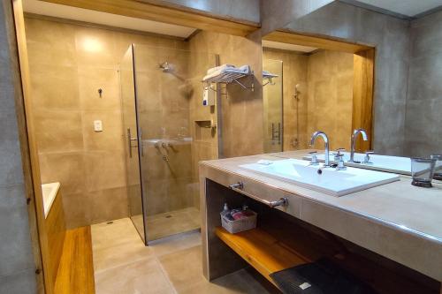 een badkamer met een wastafel en een douche bij Arrabal.Tupungato in Tupungato