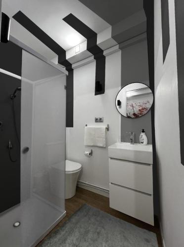 a bathroom with a toilet and a sink and a mirror at Estudio en Sol (G) in Madrid