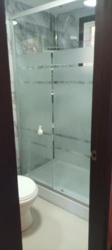a bathroom with a glass shower with a toilet at Pequeño Depa 2 personas in Puerto Montt