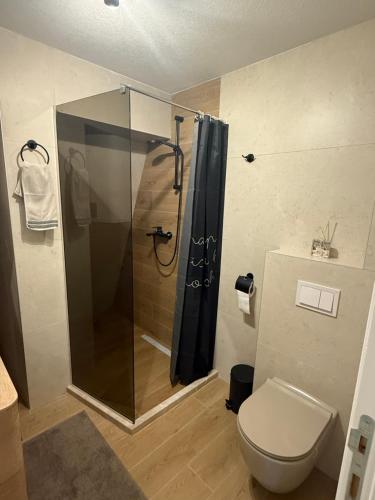 a bathroom with a shower and a toilet at Lunara Vlasic in Vlasic