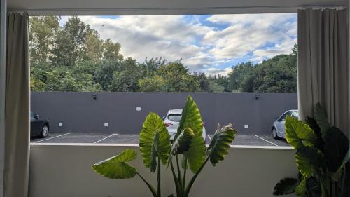 a window with a view of a parking lot at Domu S'Aratzia - Vicino al mare - con parcheggio privato in Quartu Sant'Elena