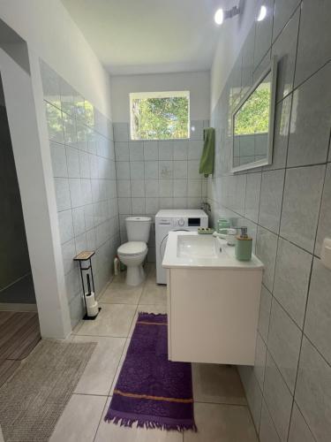 a bathroom with a white sink and a toilet at Rayon des îles bien désirée in Saint-François