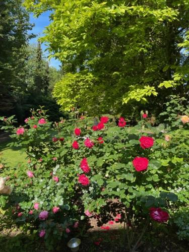 Zahrada ubytování Bei der Villa Doppelzimmer