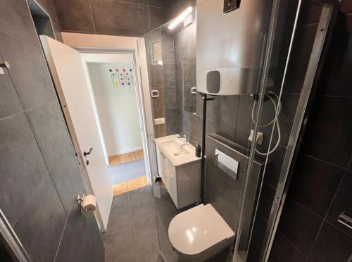 a bathroom with a toilet and a sink and a shower at Airpark-Lodge in Lärz