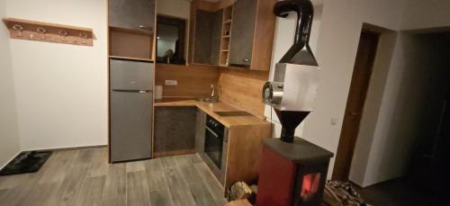 een keuken met een fornuis in het midden bij Suncani Breg in Crni Vrh