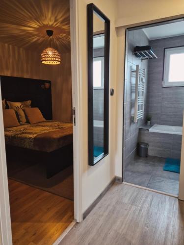 Schlafzimmer mit einem Bett, einem Spiegel und einer Badewanne in der Unterkunft Cosy Loft - Appartement de charme in Marsannay-la-Côte