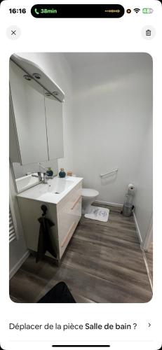 un bagno con lavandino, specchio e WC di La maison du bonheur a Montluçon