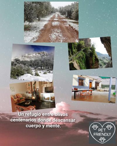 Billede fra billedgalleriet på Casa Rural El Olivar Victoria i Cuevas del Campo