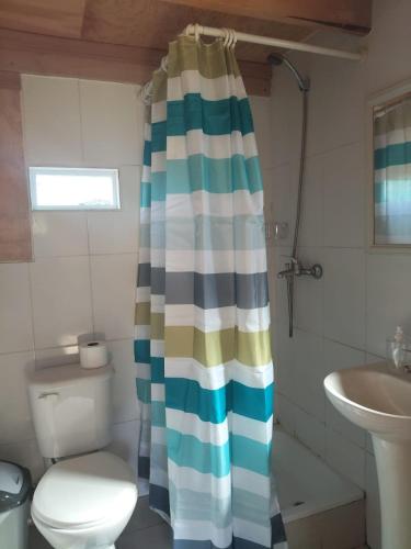 a bathroom with a toilet and a shower curtain at La petite cabane de Putemun in Castro