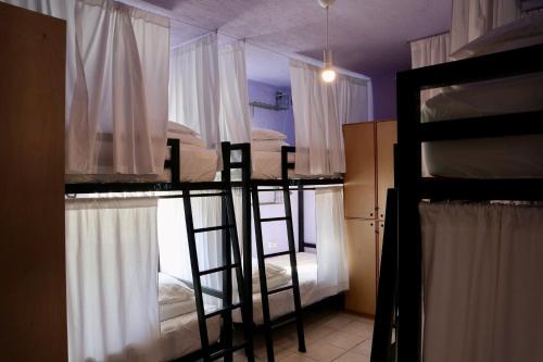 a room with two bunk beds and a window at Whale Tales Hostel in San José del Cabo