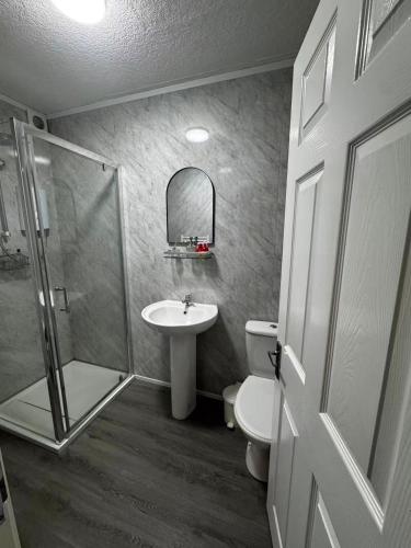 a bathroom with a shower and a sink and a toilet at Skye Accommodation in Uig