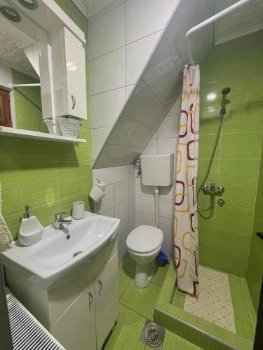 a green and white bathroom with a sink and a toilet at Planinska kuća Petrović in Zaovine