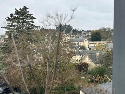 ein Blick auf eine Stadt mit Häusern und einem Baum in der Unterkunft Le Ronsard, vue sur forteresse in Chinon