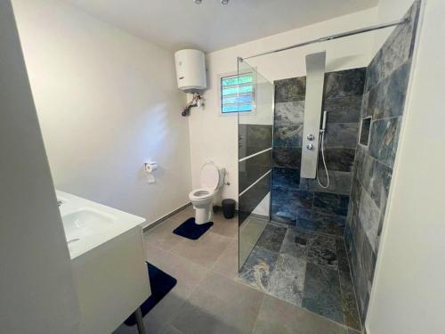 un bagno con doccia, WC e lavandino di Belle petite maison Les Trois-Îlets a Les Trois-Îlets
