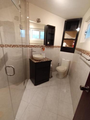 a bathroom with a toilet and a sink and a shower at Luxury Suites New York Historic Center in Chihuahua