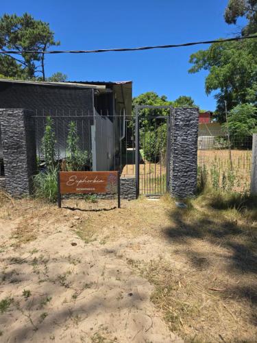 Photo de la galerie de l'établissement Euphorbia, à Cuchilla Alta