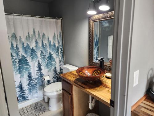 een badkamer met toilet en douchegordijn bij Sunrise Springs in Pahrump