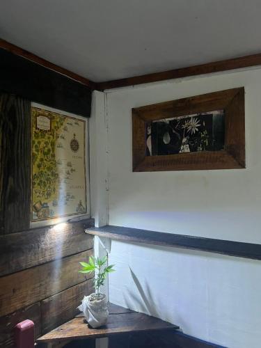 une table avec une plante en pot dans une pièce dans l'établissement El Antiguo, à Cabo Polonio